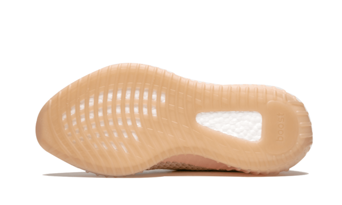 YZY 350 V2 - imagine 5